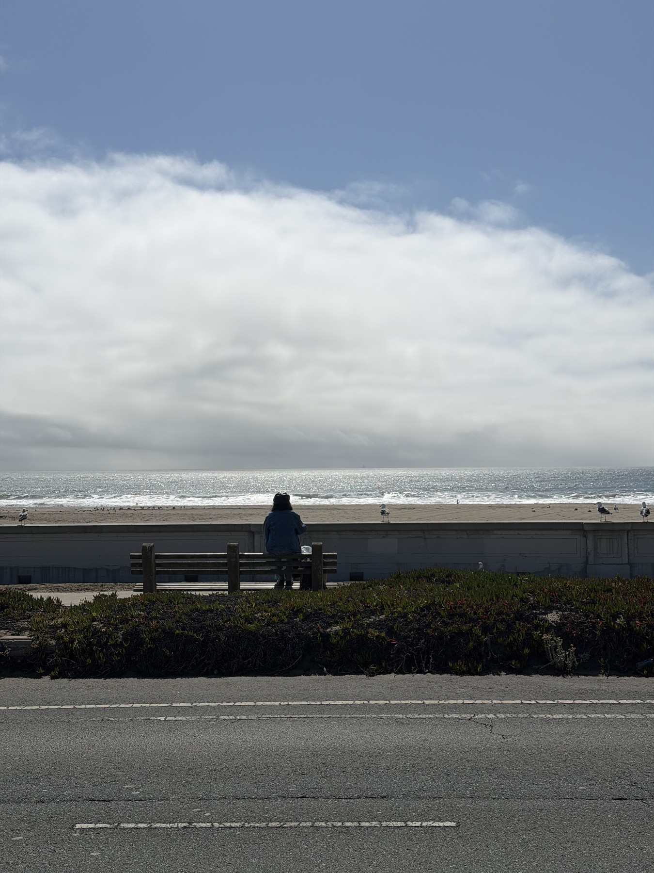 Ocean Beach under a pale sky